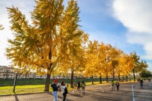 GERMOGLI PH: 18 GENNAIO 2023 FIRENZE PARCO DELLE CASCINE