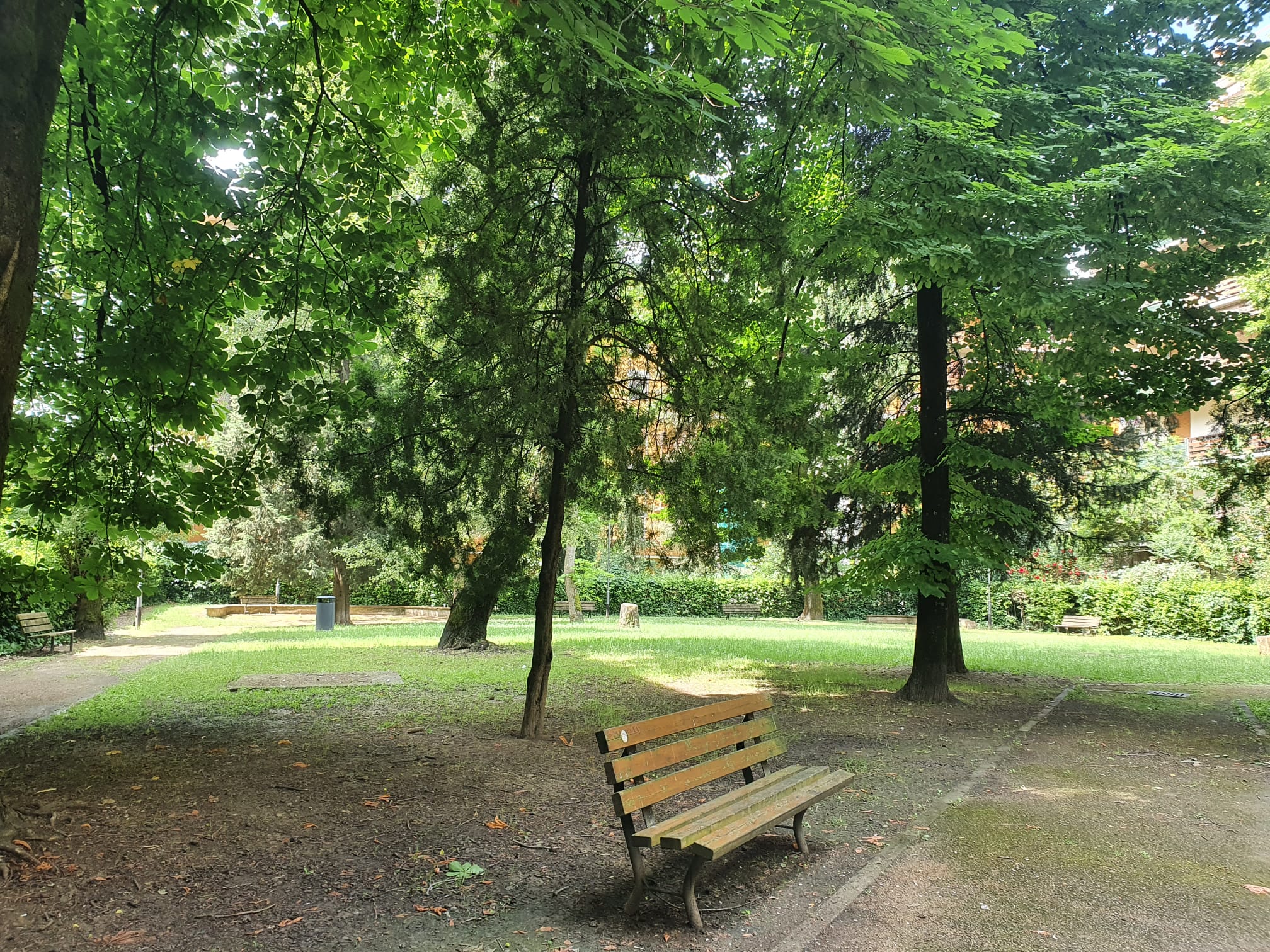 foto ale