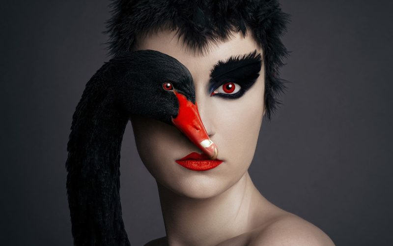 F.-Borsi,-Black-swan,-2021