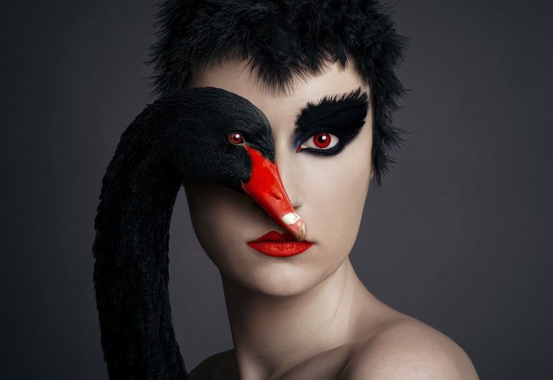 F.-Borsi,-Black-swan,-2021