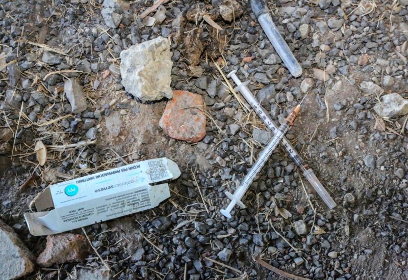 GERMOGLI PH: 20 OTTOBRE 2017 SCANDICCI I LUOGHI ATTIGUI ALLA TRAMVIA DOVE SI CONSUMA SPACCIO DI DROGA SIRINGHE NELLA FOTO FABIANA PULICI CONSIGLIERA 5 STELLE