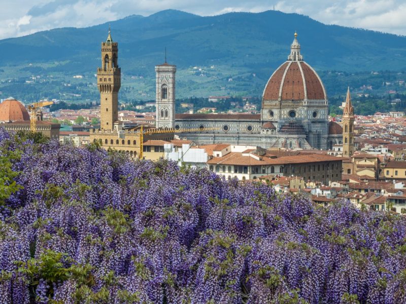 © Fotocronache Germogli, specificare data