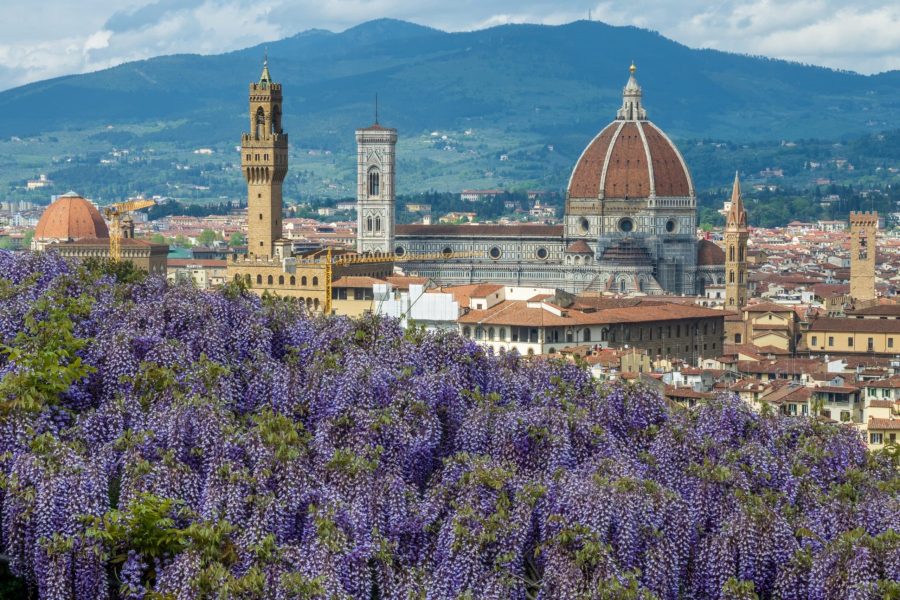 © Fotocronache Germogli, specificare data