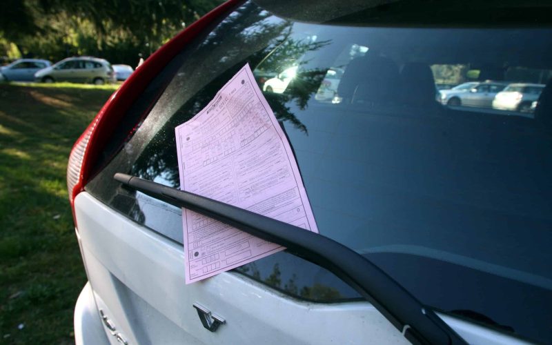 © Fotocronache Germogli, specificare data