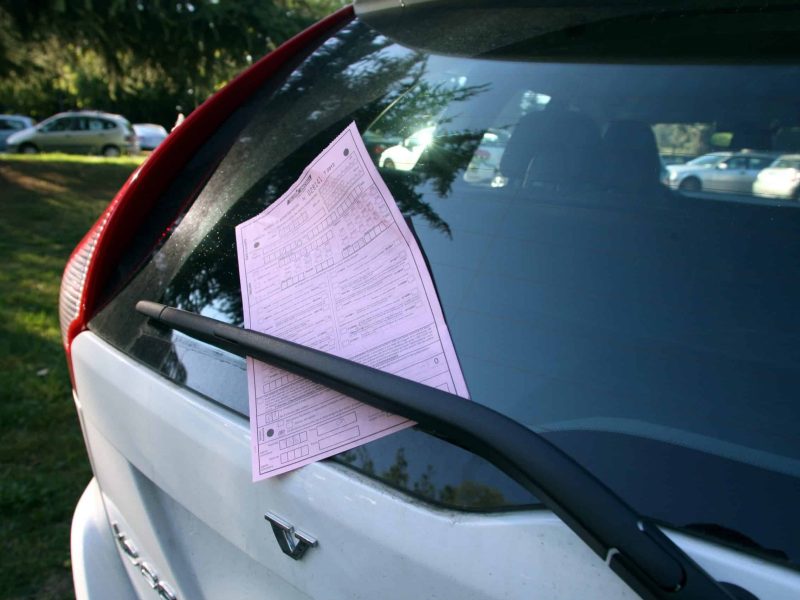 © Fotocronache Germogli, specificare data