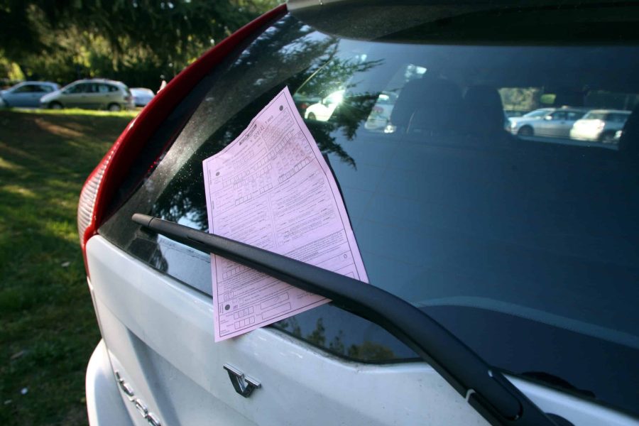 © Fotocronache Germogli, specificare data