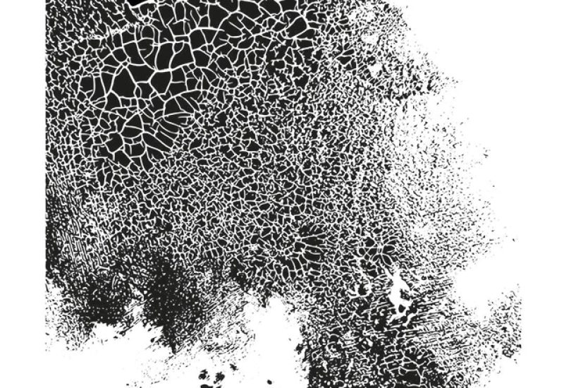 Giulia Gray, Terra, digital art