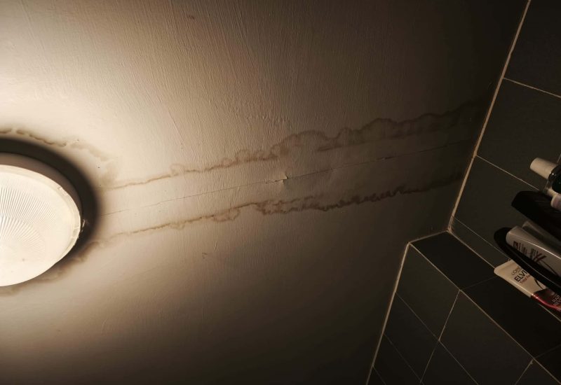 Infiltrazioni di acqua poco pulita nei bagni