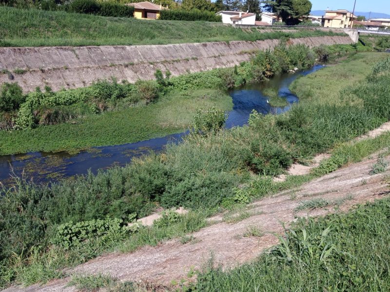 IMG-20260904-WA0168
