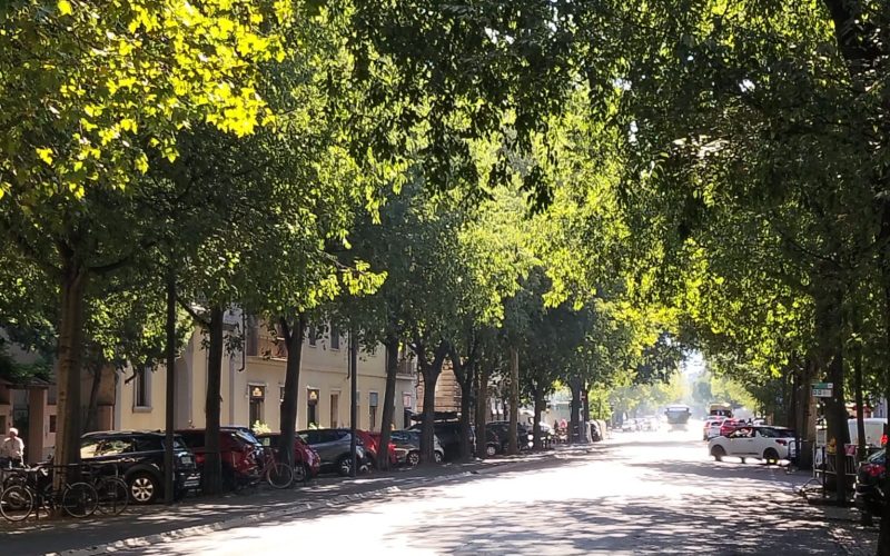 VIALE DEI MILLE 1