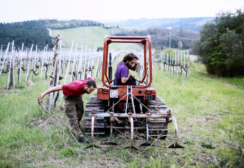 GERMOGLI PH: 17 MAGGIO 2015 BAGNO A RIPOLI GRASSINA VILLA DI MONDEGGI FATTORIA ABBANDONATA E AUTOGESTITA OCCUPATA DA AGRICOLTORI E CITTADINI CHE LA COLTIVANO NELLA FOTO GLI ORTI SOCIALI MANTENUTI DAGLI OCCUPANTI E VOLONTARI IN ALCUNE IMMAGINI DI ARCHIVIO DELLA VILLA