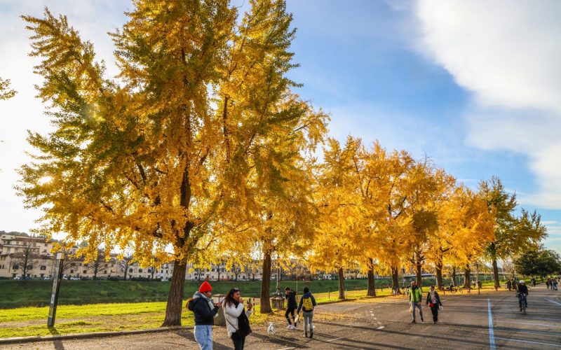 GERMOGLI PH: 18 GENNAIO 2023 FIRENZE PARCO DELLE CASCINE