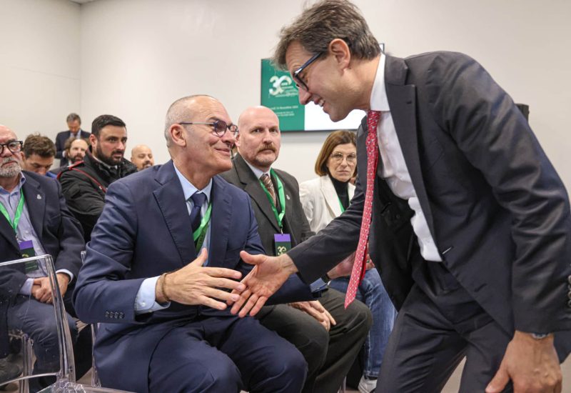 immagine_1806620_x2000