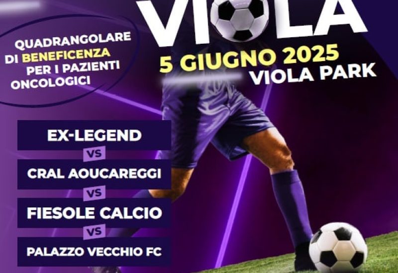 locandina careggi gioca in viola nigro costruzioni