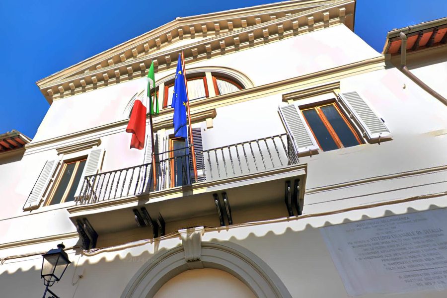 foto ale