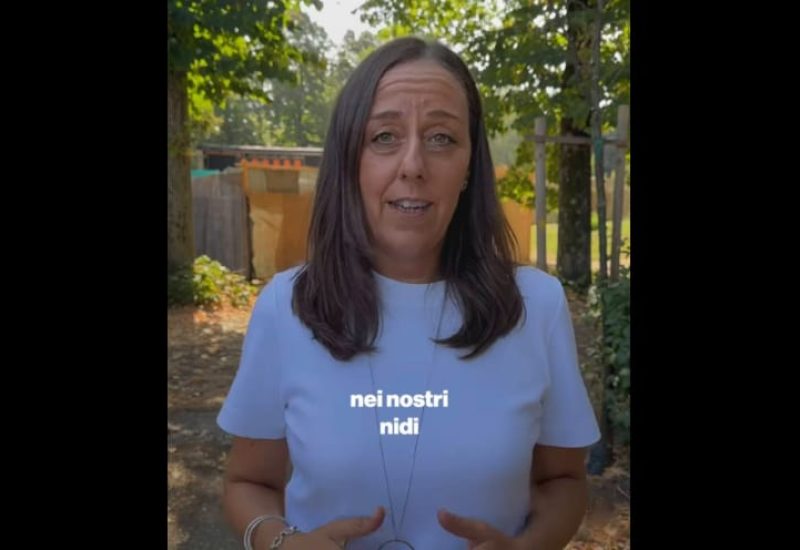 nido