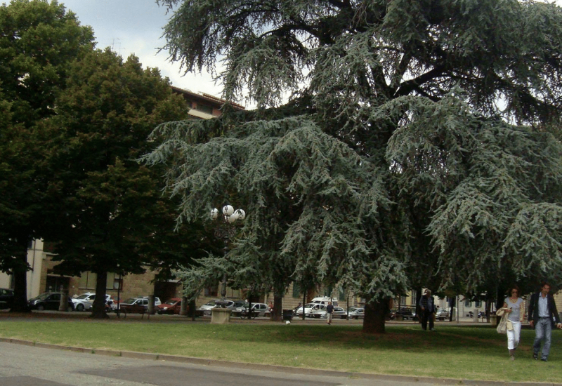 piazza indipendenza