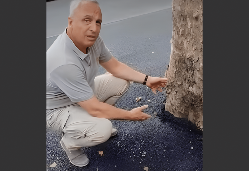 sabatini edit