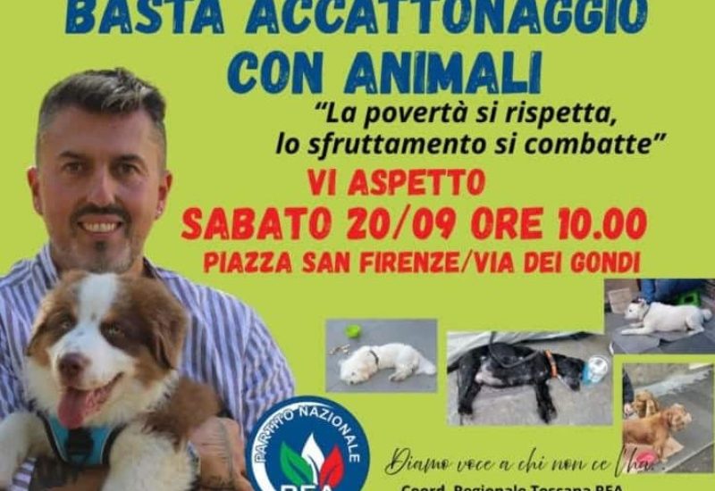 scavullo
