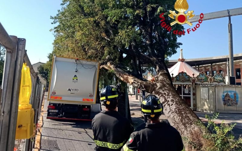 vigili del fuoco